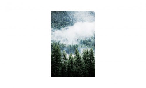 Tableau BRUME SAPIN