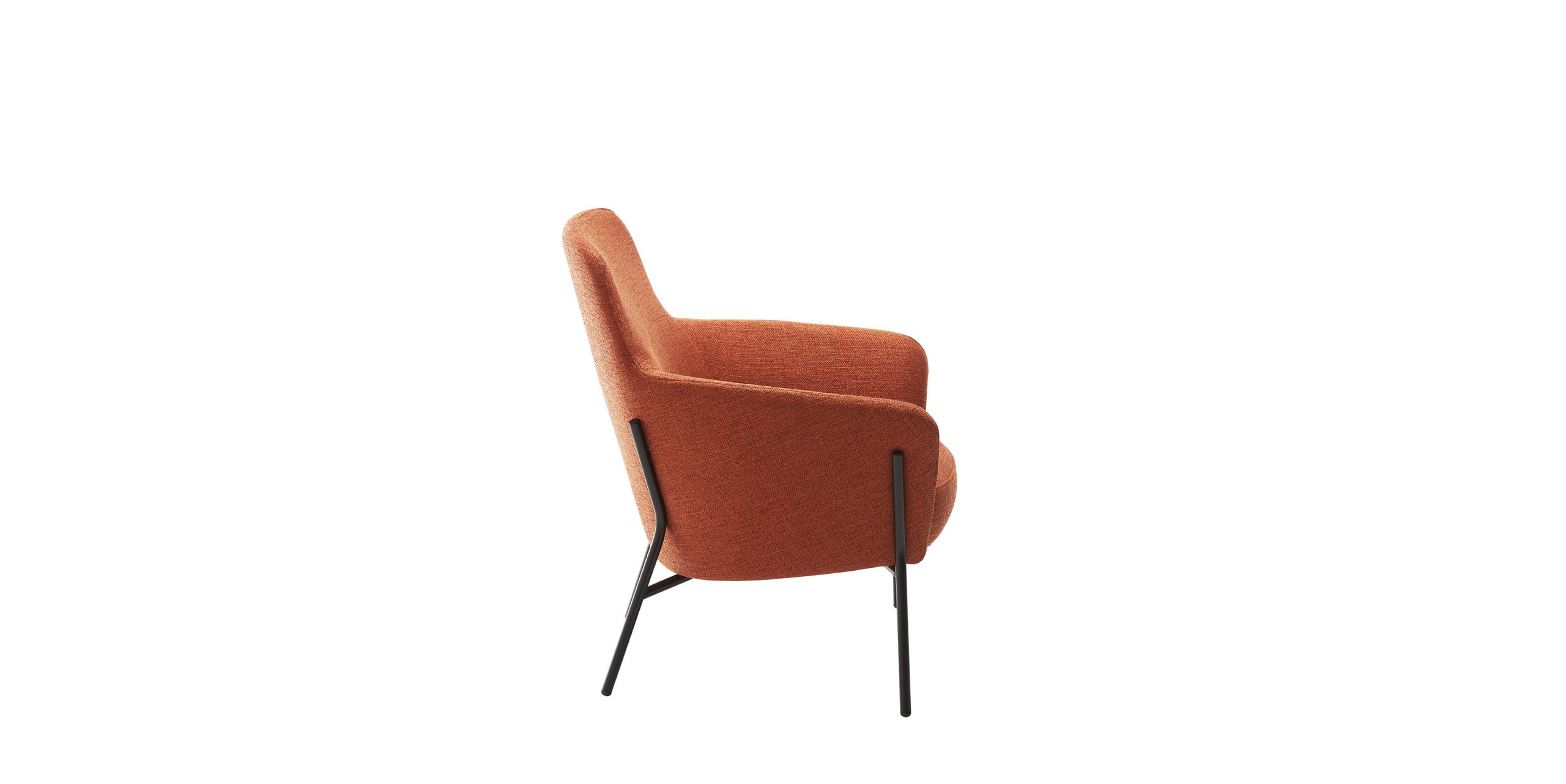 Slider Fauteuil LION (image 2)