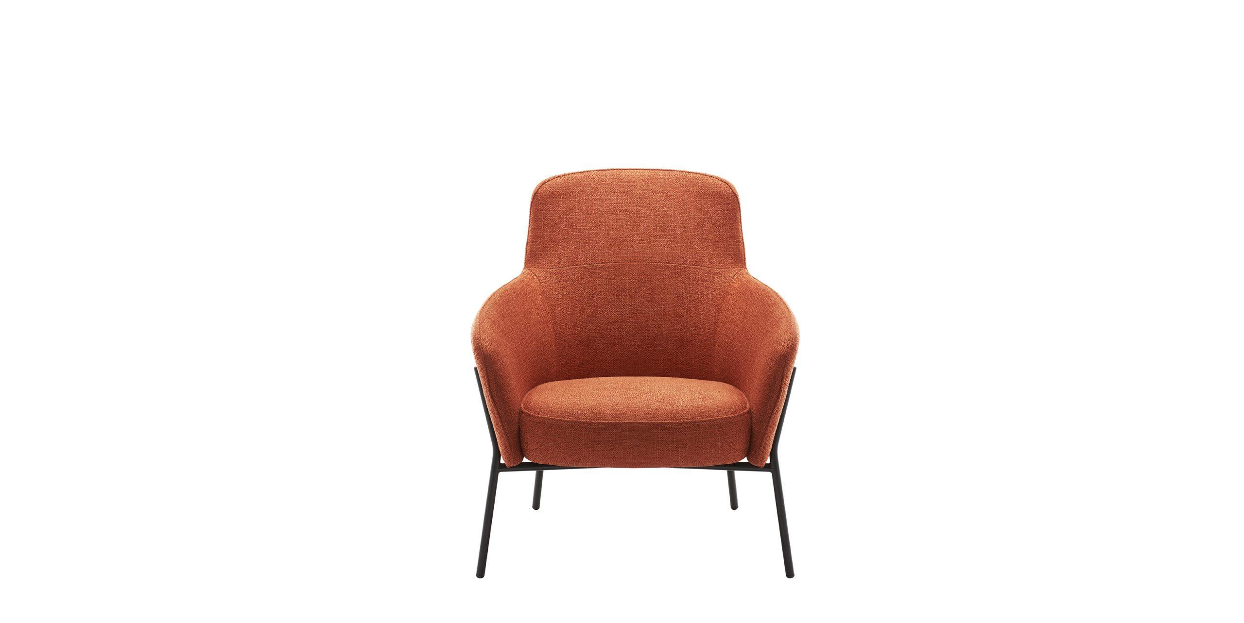 Slider Fauteuil LION (image 4)