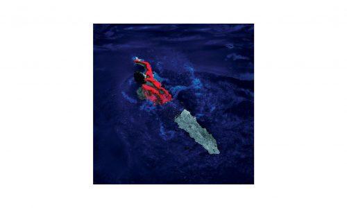 Tableau SWIMMER