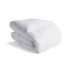 Miniature COUETTE NATURAL 300 (image 1)