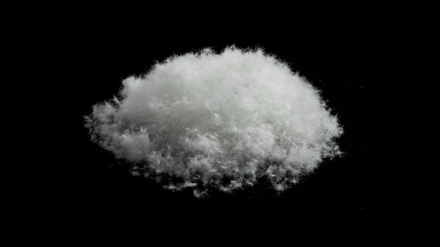 Slider OREILLER NATURAL (image 3)