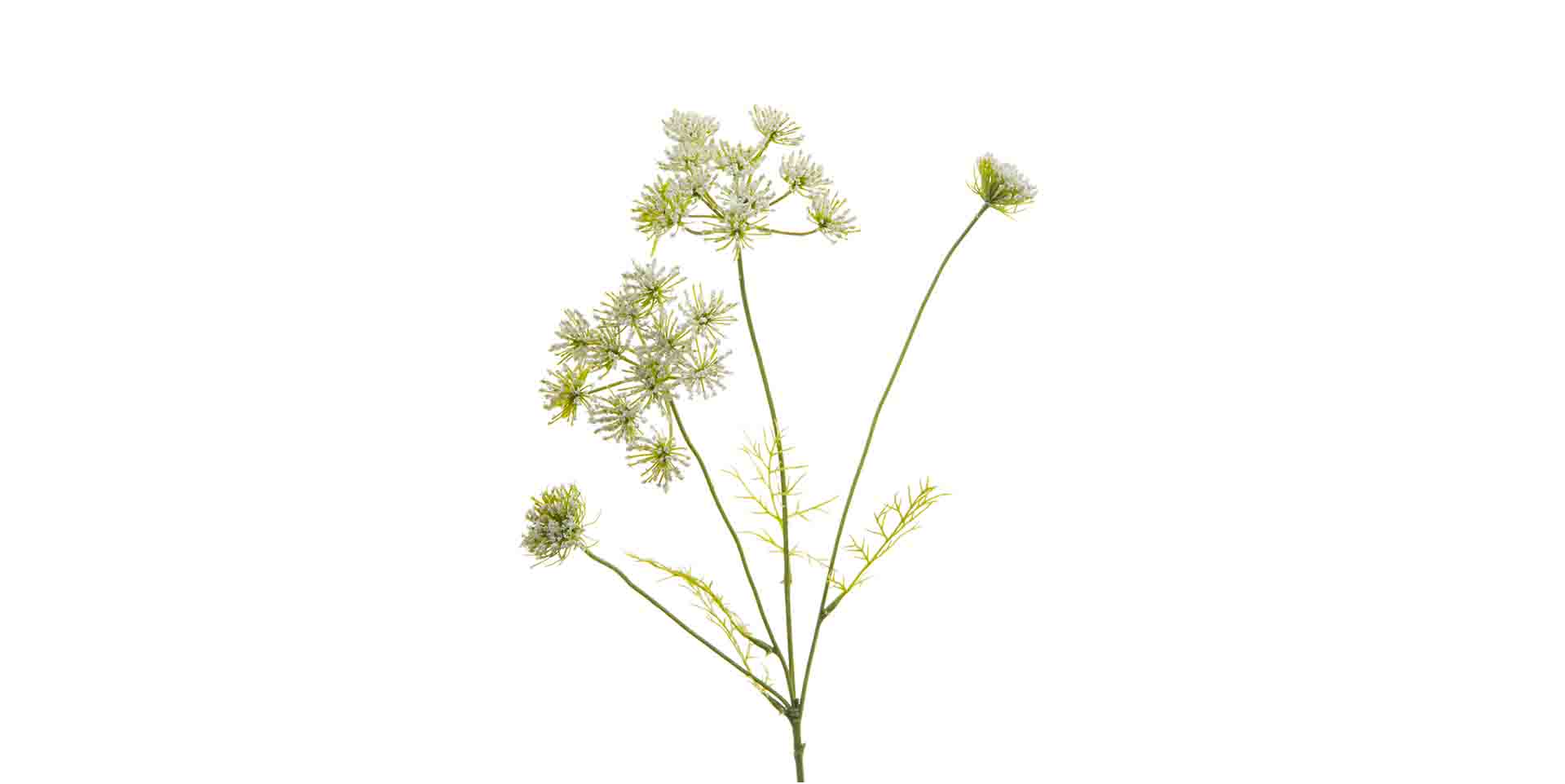 Slider Fleur déco ANGELIQUE (image 1)
