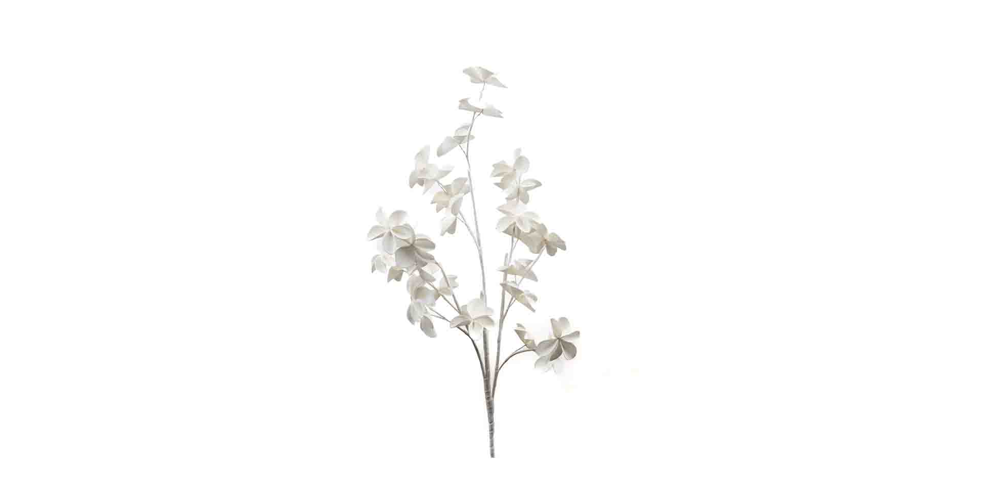 Slider Ornement floral ALMA (image 2)
