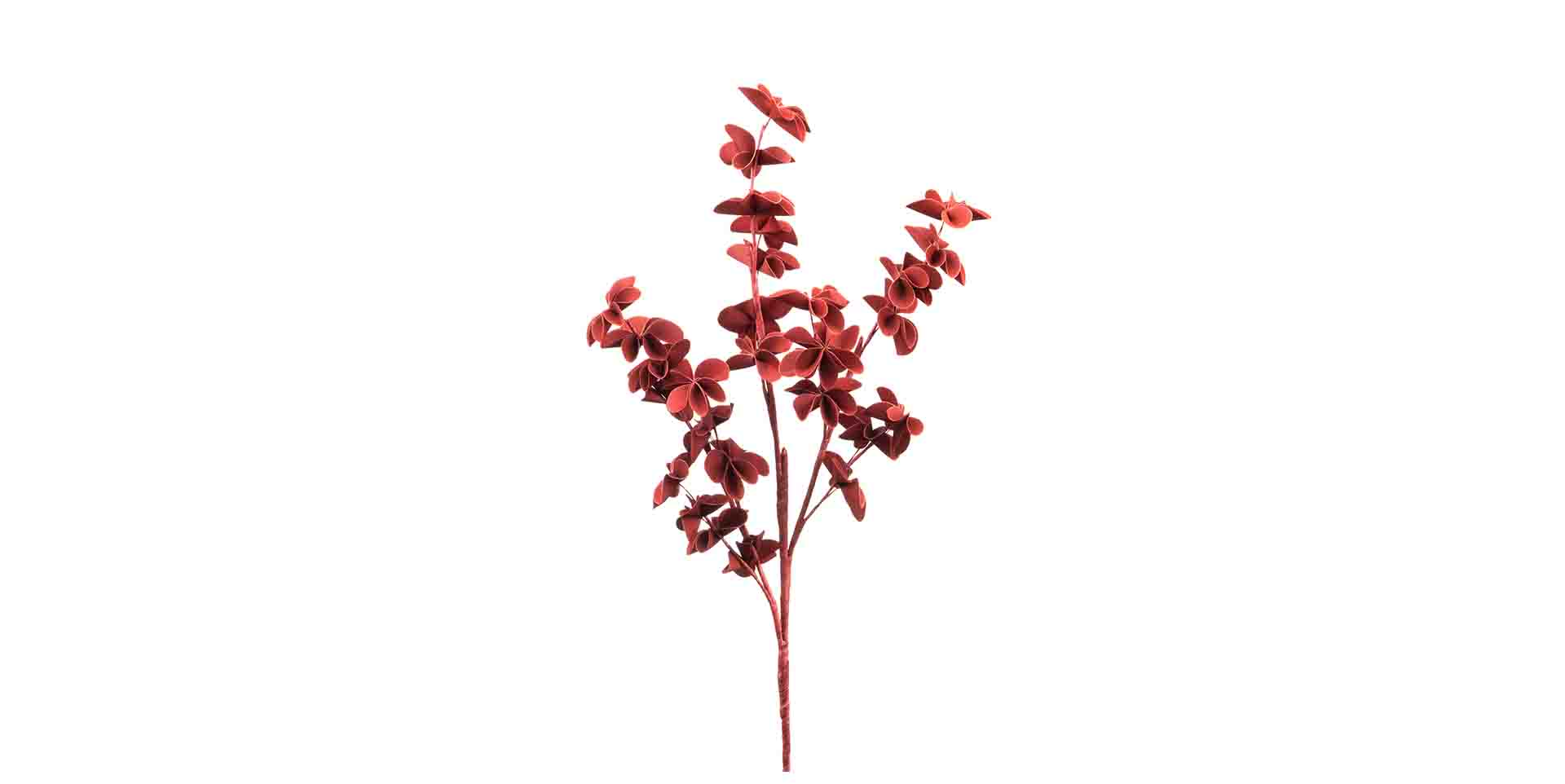Slider Ornement floral ALMA (image 1)